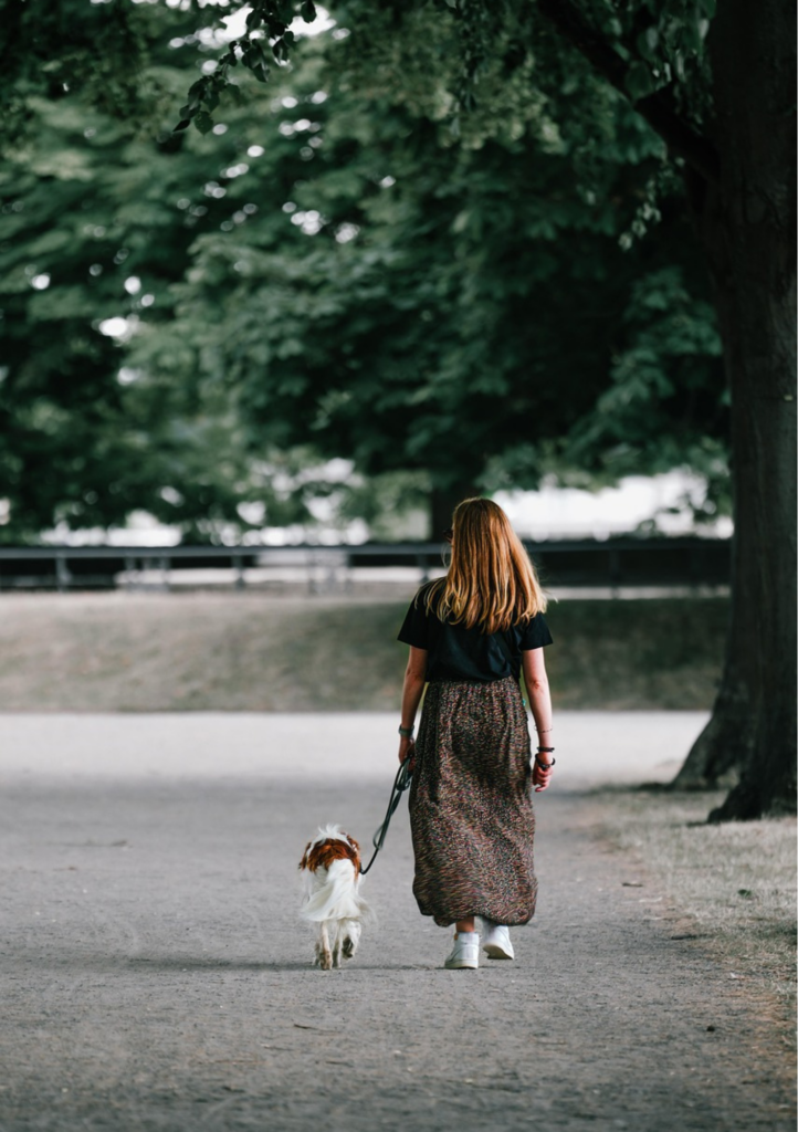Accès facile à votre salon de toilettage à Lyon. Nous sommes facilement accessibles quel que soit votre mode de transport : vélo, bus, voiture